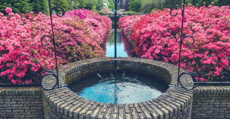 UN POZZO D'IDEE NEL TUO GIARDINO PRIVATO