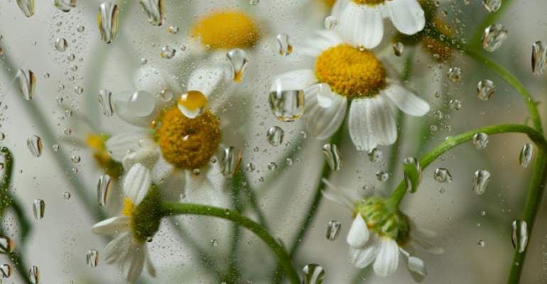 PIOGGE PRIMAVERILI? LE INFILTRAZIONI POSSONO ESSERE UN PROBLEMA